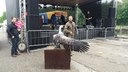 Obr_25